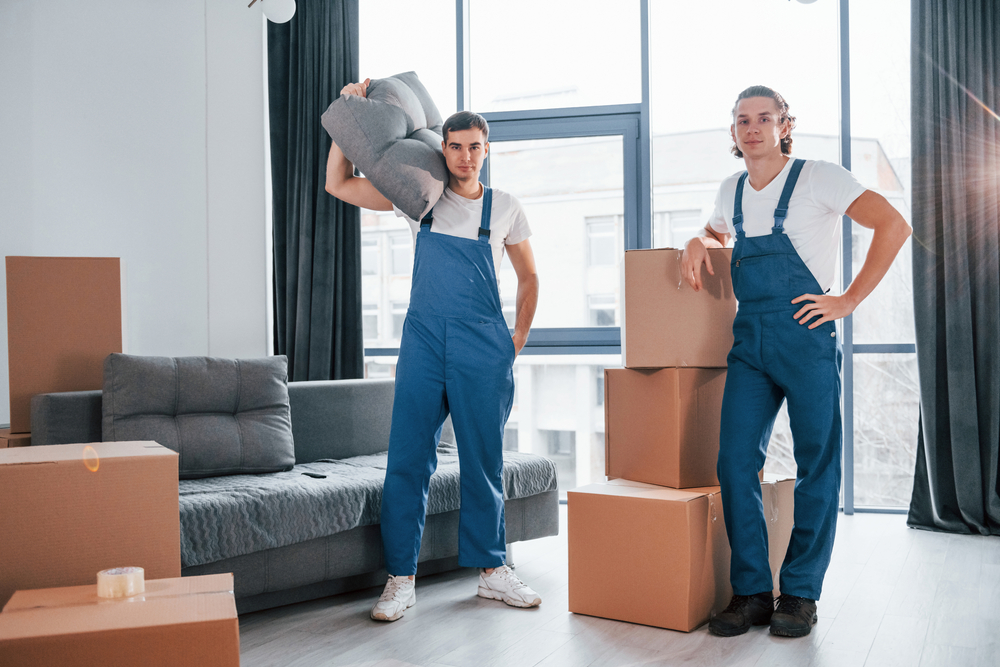 Packer and Mover