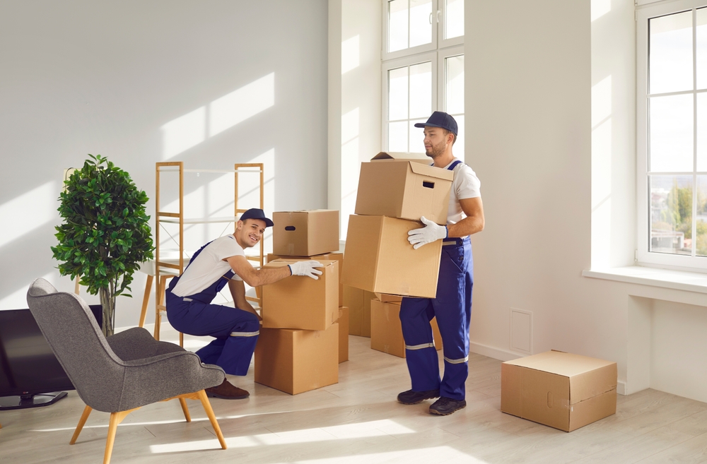 Packer and Mover