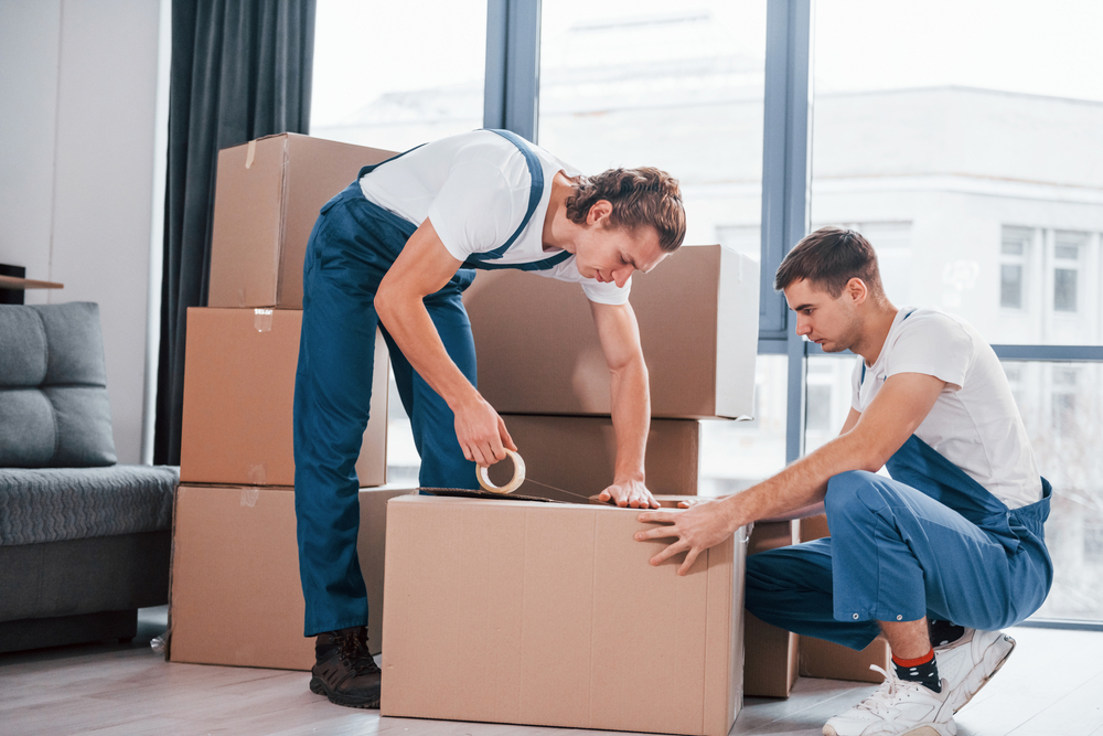 Movers In Jeddah